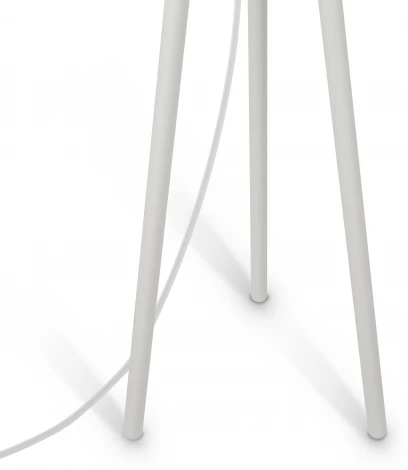 Торшер Maytoni Calvin Z177FL-01W