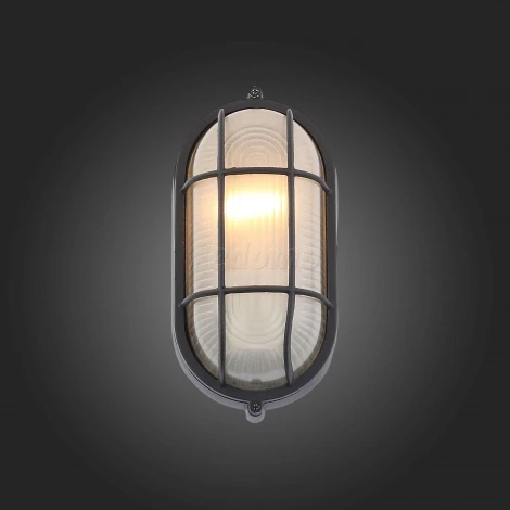 Настенный светильник уличный ST Luce Vecchio SL075.411.01