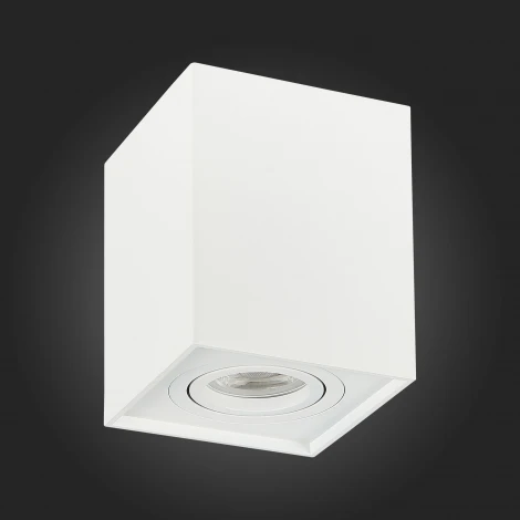 Накладной точечный светильник ST Luce Quadrus ST109.507.01 (220V, куб)