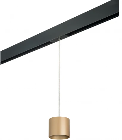 Трековый светильник однофазный 220V Lightstar Rullo PRORP3490 (круглые)