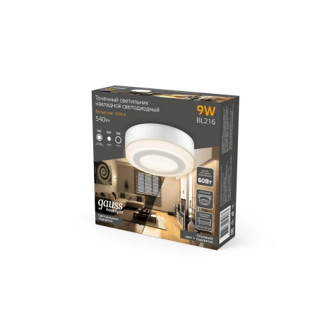 Настенно-потолочный светильник светодиодный Gauss BL216