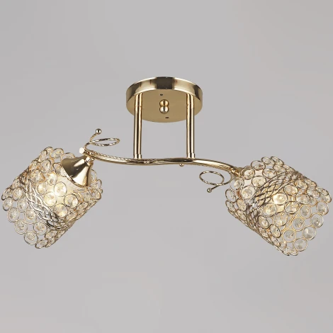 Потолочная люстра на штанге Reluce 04481-0.3-02 FGD (220V)