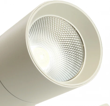 Трековый светодиодный светильник однофазный 30W 220V Feron AL103 48941 (круглые, IP40)