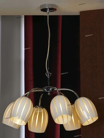 Подвесная люстра Lussole Brindisi LSF-6703-06