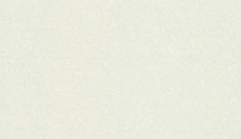 Обои виниловые Zambaiti Trussardi VI 46034 10,05 х 1,06 м