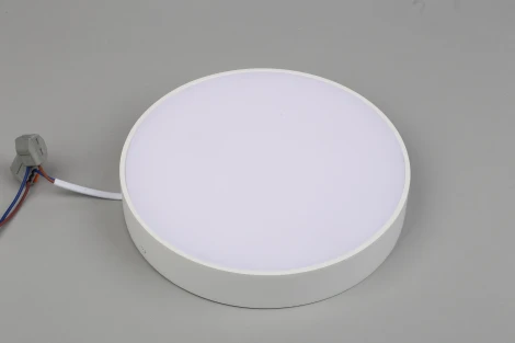 Потолочный светильник круглый Aployt Evon APL.0113.09.24 (LED, 220V, круглые)