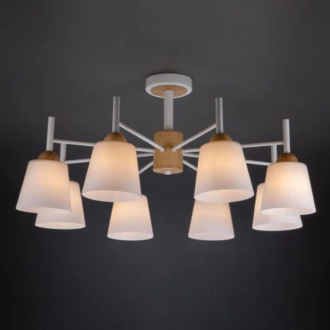 Потолочная люстра Eurosvet Fresco 70085/8 белый (220V)