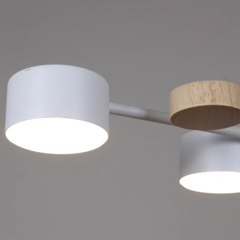 Потолочная люстра на штанге Reluce 03758-0.3-10 WT+WOOD GX53