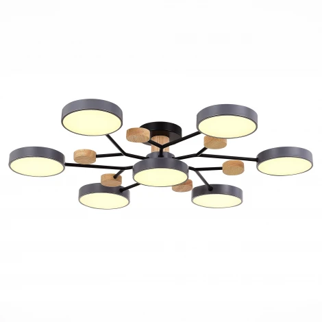 Потолочная люстра на штанге Evoluce Faema SLE6006-702-07