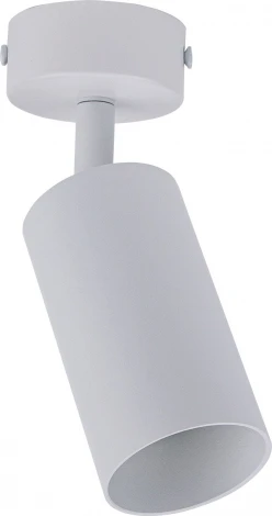 Спот Brizzi Aras BR08075