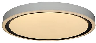 Потолочный светильник круглый Zortes Bella ZRS.1201.04 (LED, 220V, круглые, IP54)