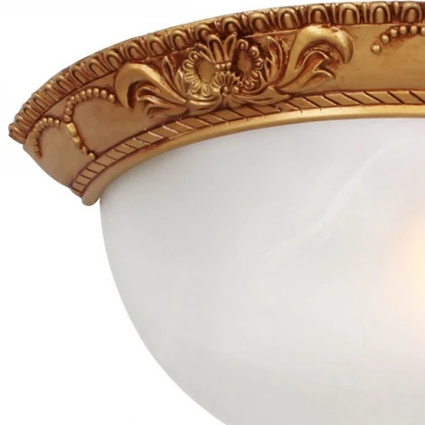 Настенный светильник Favourite Plafond 1447-1W