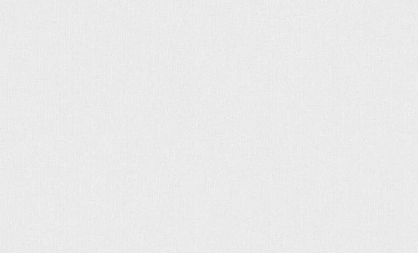 Обои виниловые Erismann Bolero 60165-04 10,05 x 1,06 м