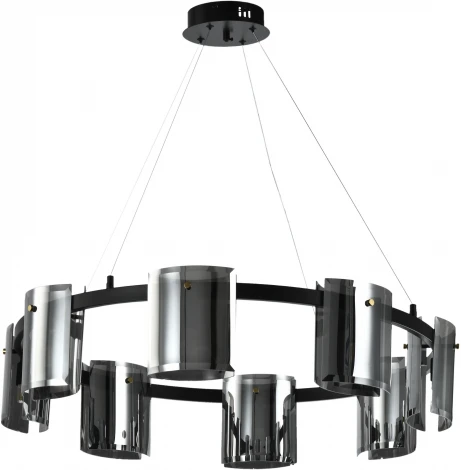 Подвесная люстра Zortes Rony ZRS.1209.08 (220V, на тросе, круглые)