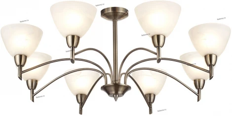 LuceSolara 2004 2004/8P