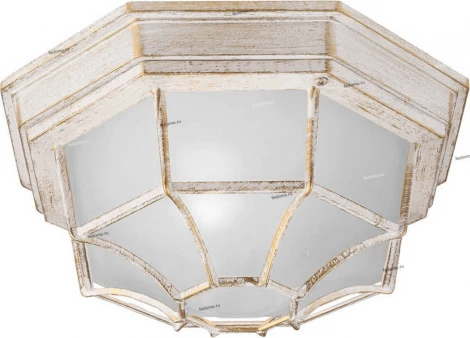 Потолочный светильник уличный Arte Lamp Pegasus A3121PF-1WG (220V, IP44)