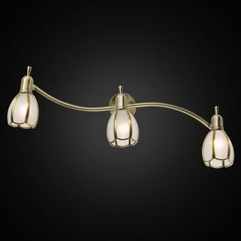 Спот Citilux Альтен-2 CL522631