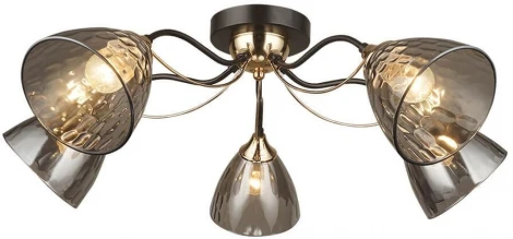 Потолочная люстра Wedo Light Livorno 66659.01.15.05