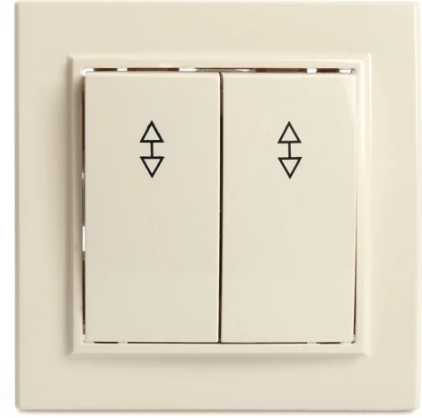 Переключатель двухклавишный (слоновая кость) Stekker Эрна 39920