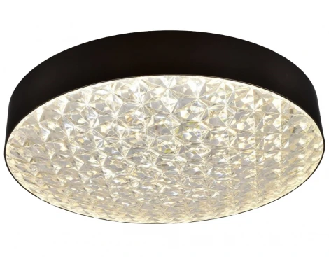 Настенно-потолочный светильник Мелодия Света CW1L 000024758