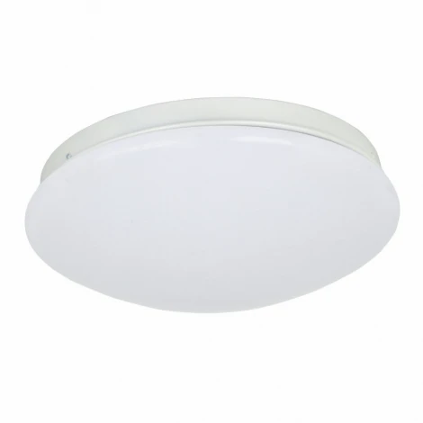 Потолочный светильник F-Promo Ledante 2469-2C