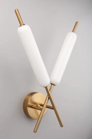 Бра Aployt Carla APL.010.01.16 (LED, 220V)