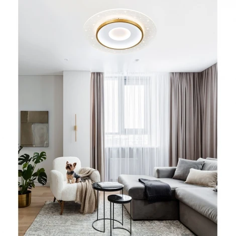 Потолочный светильник светодиодный с пультом с регулировкой цветовой температуры и яркости LED4U LED4U L1027-500 WH-GD