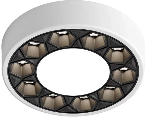 Встраиваемый точечный светильник Denkirs Dual DK2440-WB (LED, 220V, круглые)