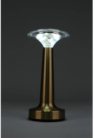 Настольная лампа светодиодная Omnilux OML-40204-01 (220V)