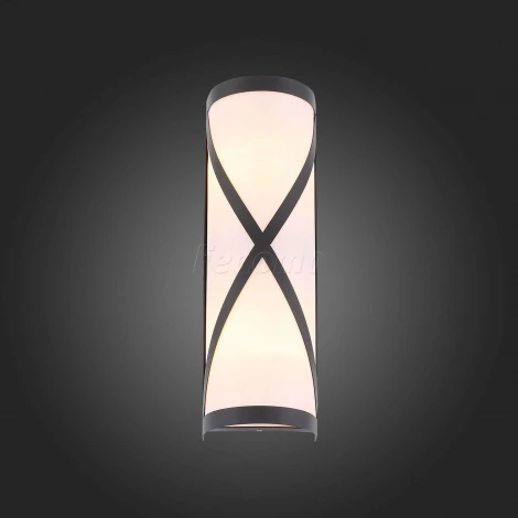 Настенный светильник уличный ST Luce Agio SL076.411.01 (220V, IP54)