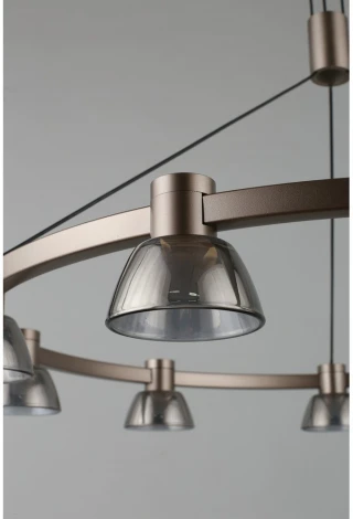 Подвесной светильник Aployt Rezeda APL.788.03.09 (LED, 220V, на проводе)