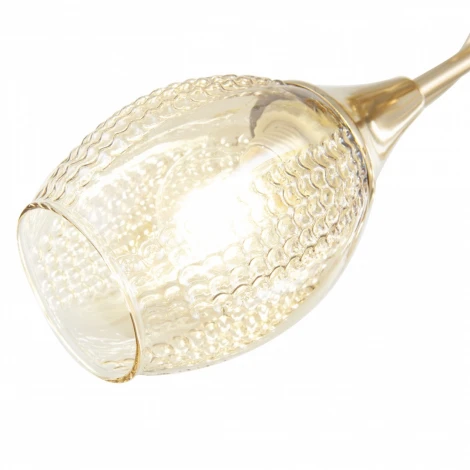 Потолочная люстра Arte Milano Napoli-8776 337966/5 FGD (220V)