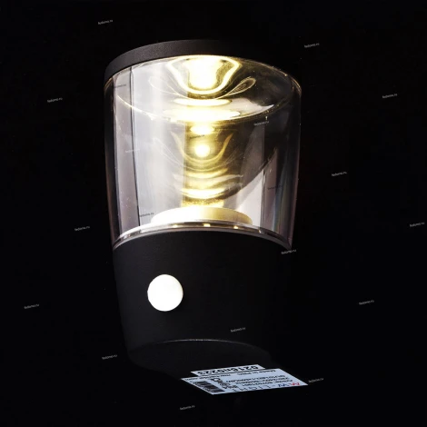 Настенный фонарь уличный DeMarkt Меркурий 807021901