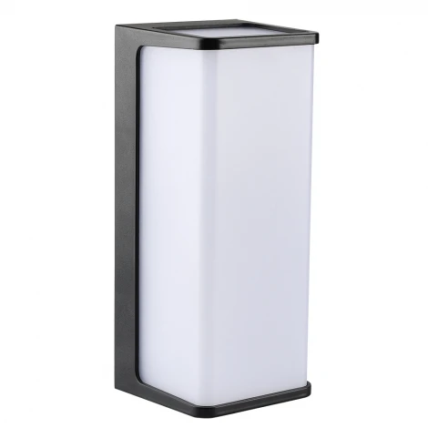 Настенный уличный светильник Arte Lamp A6419AL-1BK (LED, 220V, IP65)