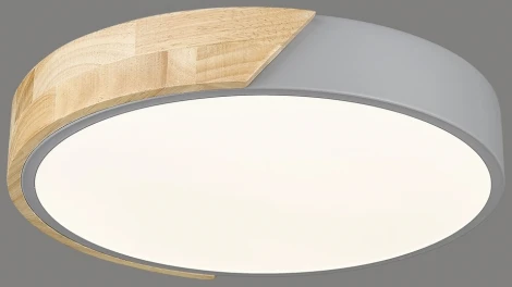 Потолочный светильник круглый Velante 445-207-01 (LED, 220V, круглые)