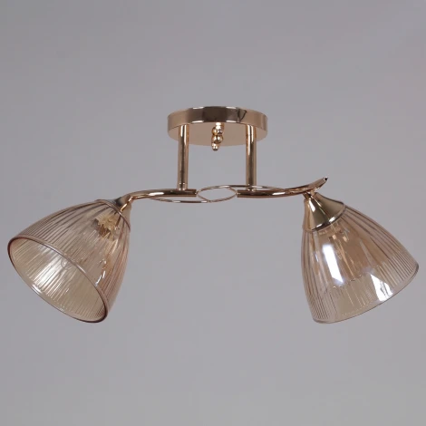 Подвесная люстра на штанге Reluce 02560-0.3-02 FG