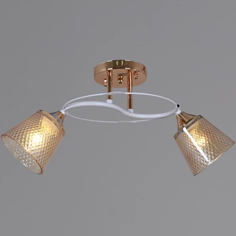 Потолочная люстра на штанге Reluce 06003-0.3-02 FG+WT (220V)