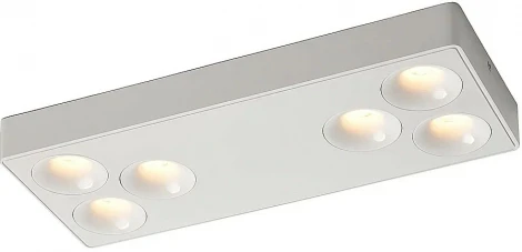 Накладной светодиодный светильник Wertmark Bellatrix WTB.O01.007.30.36 (220V)