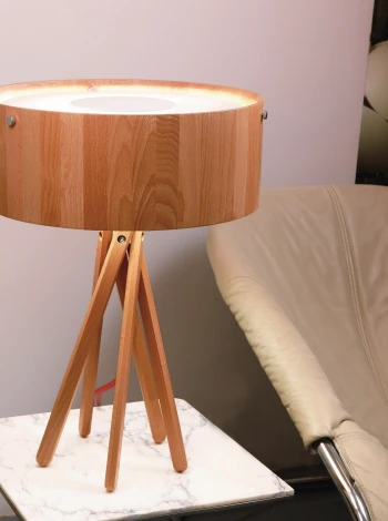 Интерьерная настольная лампа Artpole Eco 001278