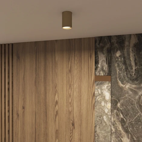 Точечный светильник накладной Denkirs Tube DK2050-SG (220V, круглые)