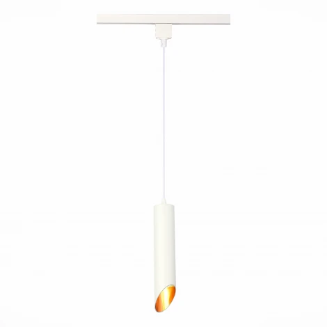 Трековый светильник однофазный ST Luce ST152.506.01 (220V, круглые)