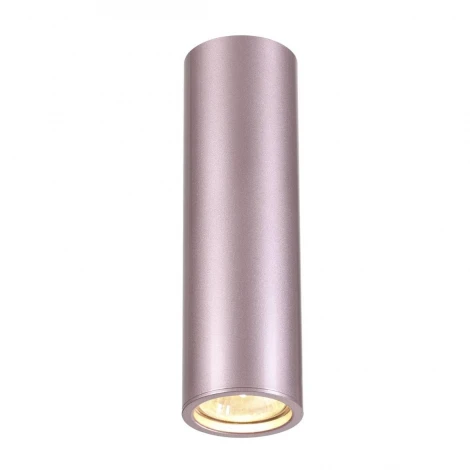 Накладной точечный светильник Odeon Light Vincere 3829/1C