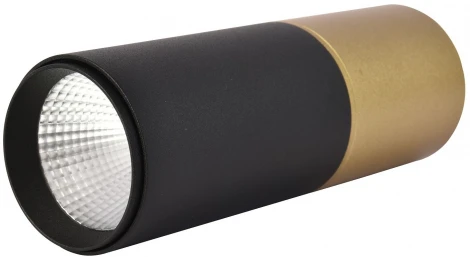 Точечный светильник накладной Favourite Deepak 3074-1C (LED, 220V, круглые)