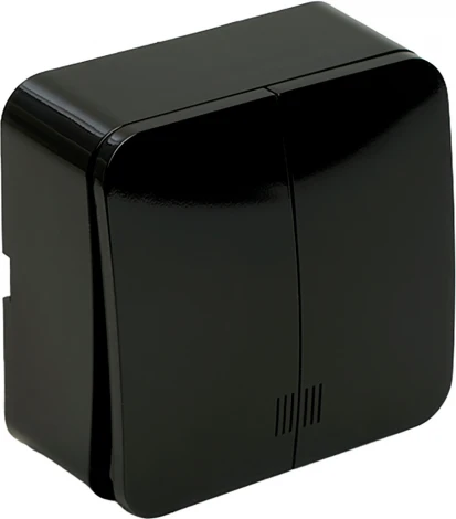 Выключатель двухклавишный с подсветкой (черный) Stekker София 49294