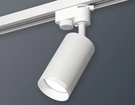 Трековый светильник Ambrella Track System XT6322150 (220V, круглые)