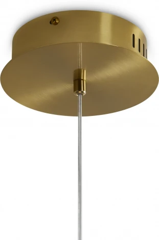 Подвесной светильник Freya Awella FR6135PL-L18BT (LED, 220V, на проводе)