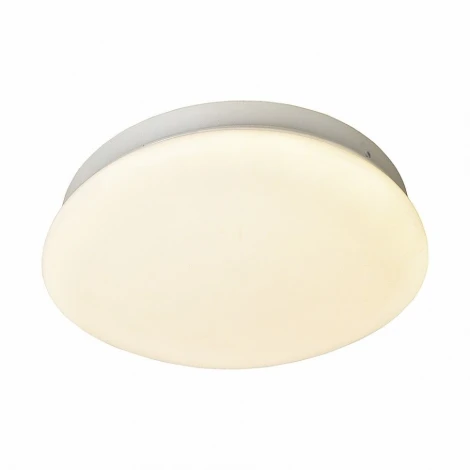 Потолочный светильник F-Promo Ledante 2469-1C