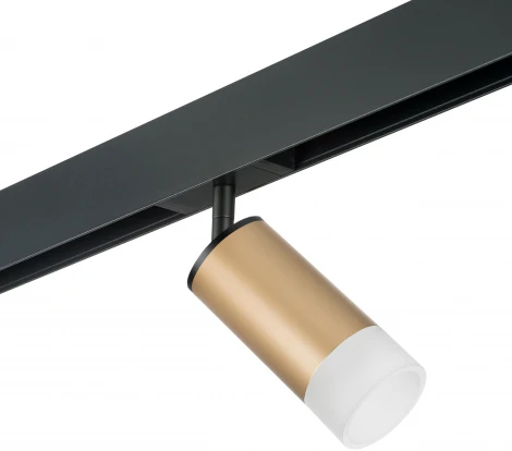 Трековый светильник однофазный 220V Lightstar Rullo PRO44031 (круглые)