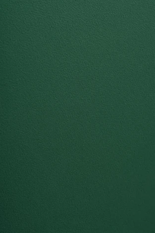 Стул на металлокаркасе Ройс (Ройс зеленый / черный) Woodville арт.584278