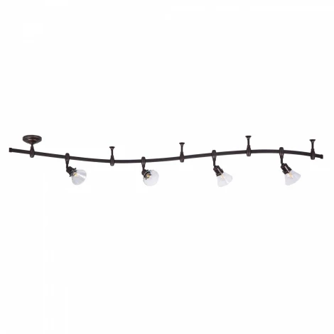 Спот Citilux Бисмарк CL564541